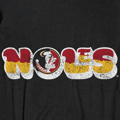 The 'Noles Vintage Crop Tank (Black)